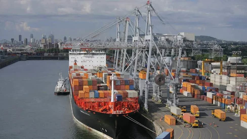 Project NoCargo: RCMP Foils Export of 392 Stolen Vehicles Valued at $28M
