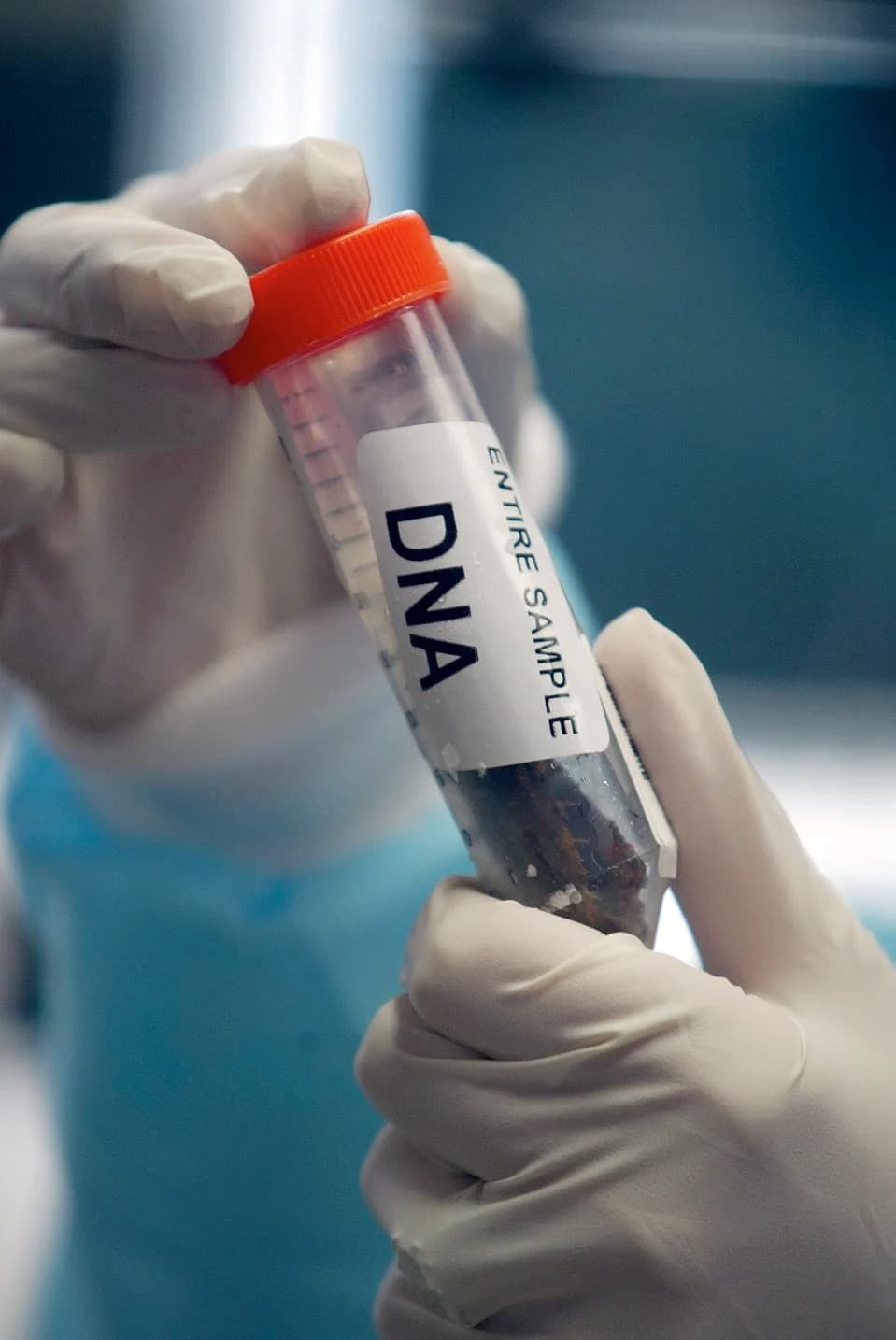 AI Trained on Millions of Genomes Designs 16 Functional Bacterial Viruses, Sparking Biosecurity Debate