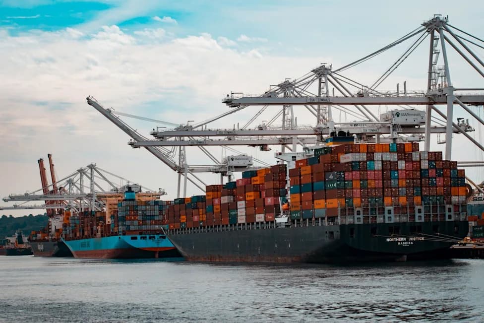 CBP Data: Export Rings Prefer Everyday SUVs Over Million‑Dollar Supercars