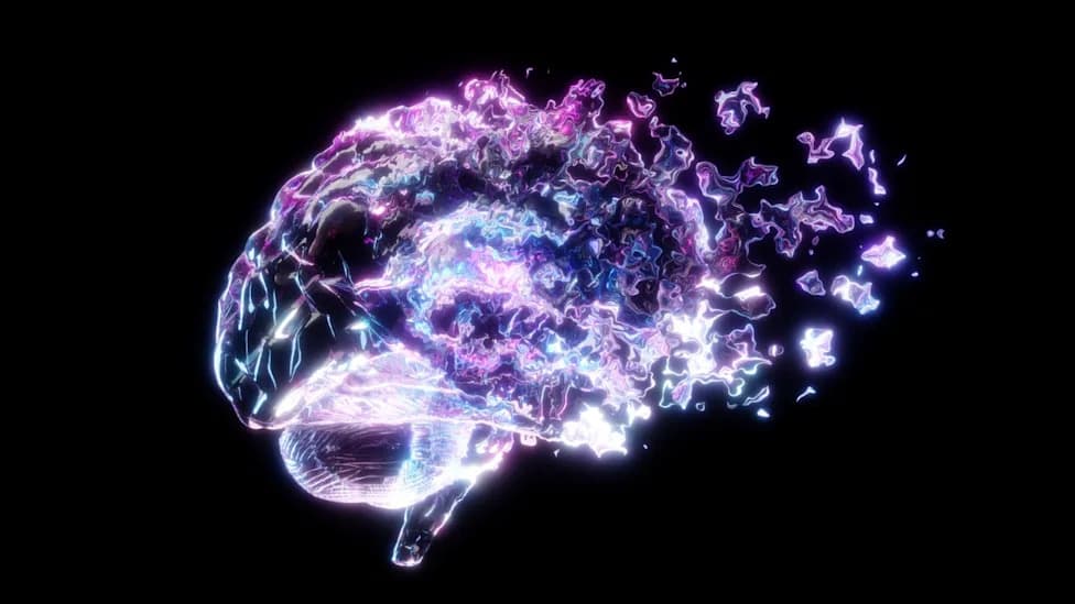 Forgotten Memories Can Linger Silently — and Be Reconstructed, Fruit‑Fly Study Shows