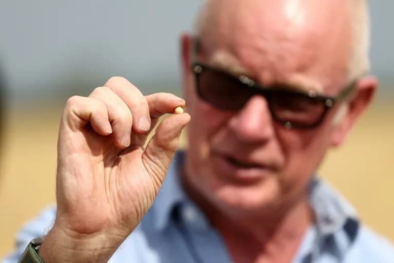 UK Farmers Face Steep Losses as Historic Drought Raises Food Security Alarm