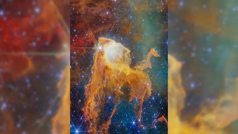 JWST Reveals a Dazzling 'Treasure Chest' of Baby Stars in the Carina Nebula