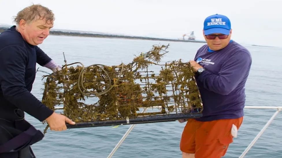 Volunteer Divers Battle 'Ghost Gear' to Save Marine Life