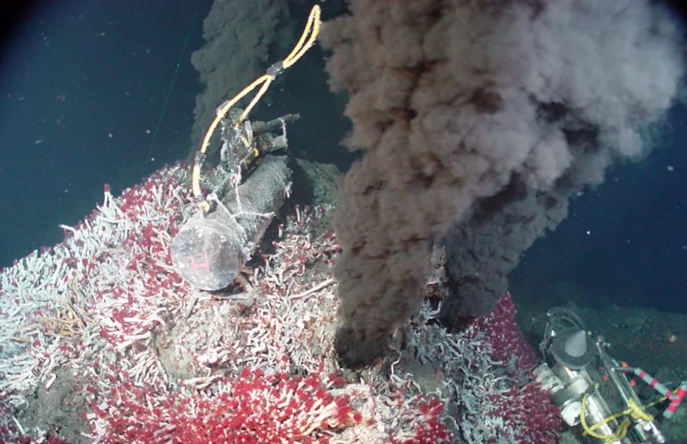 Microplastics Found in Deep‑Sea Hydrothermal Vent Animals From North Fiji Basin to Central Indian Ridge
