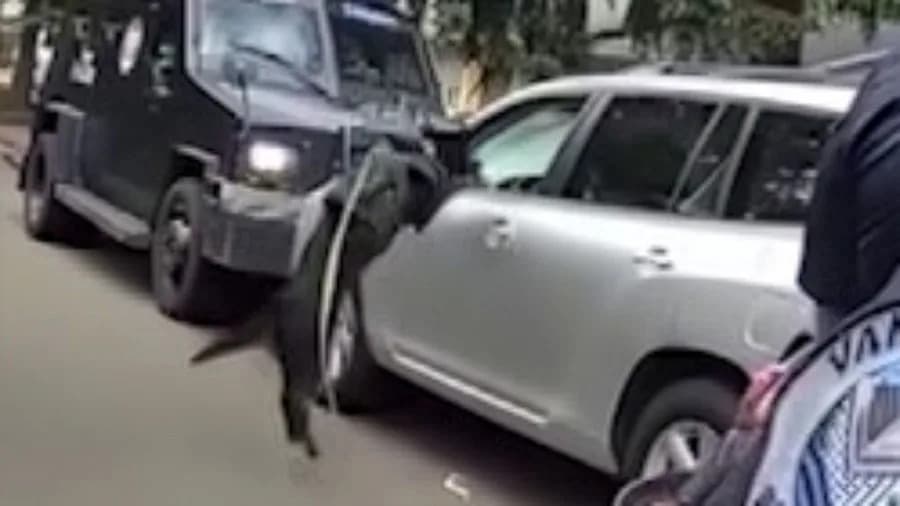 Video: K-9 Midas Leaps Into Vehicle Window to End 40-Minute Standoff in Vancouver, Wash.