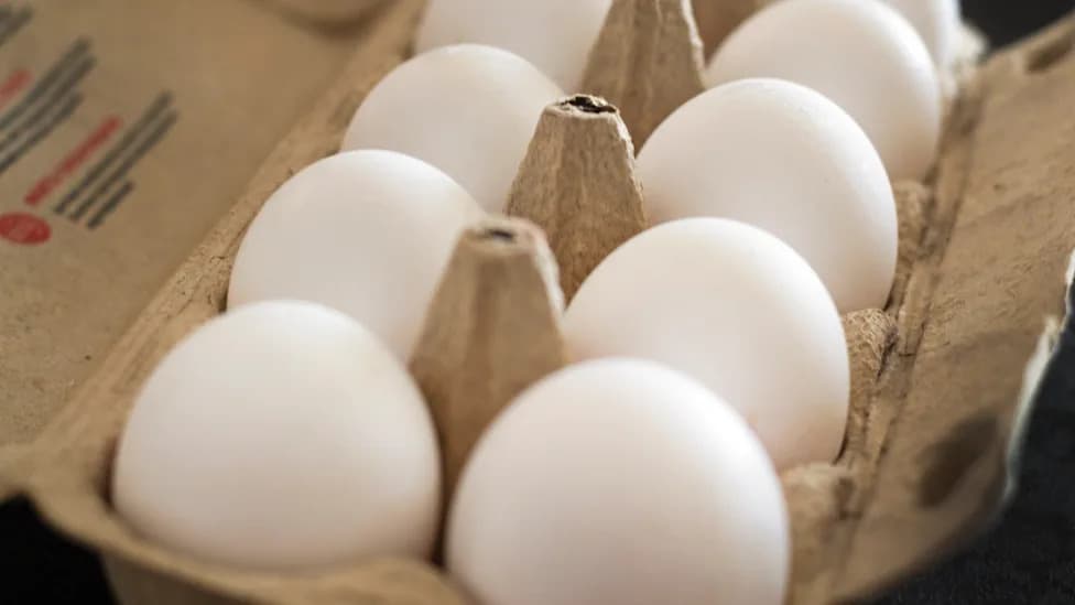 Urgent: Egg Recall Linked to 98 Salmonella Cases — Check Side-Panel Codes P-1950 / 0840962