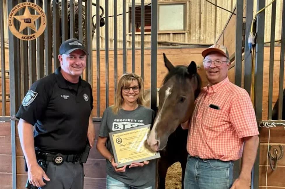 Oklahoma Horses Used as Drug 'Props' — 160 Kilos of Cocaine Seized, Animals Sent to Rescue