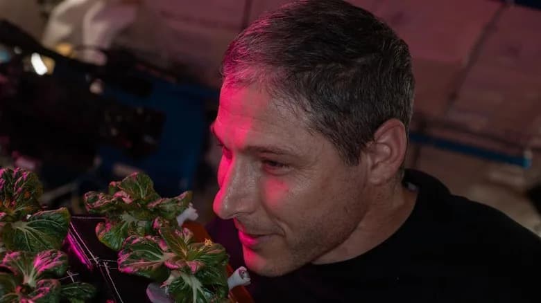 How Long Space Missions Change Astronauts’ Sense Of Smell — And Why Earth Smells So Intense After Reentry
