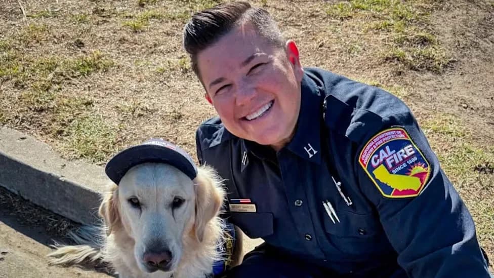 Cal Fire Captain’s Wife Pleads Guilty To Second‑Degree Murder After Arrest In Mexico