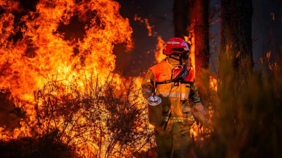 France's Worst Wildfires Since WWII: 420 Arrests, Arson Inquiries And Climate Pressure