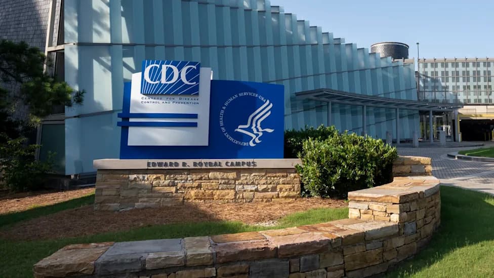 CDC: Two Salmonella Outbreaks Linked to Recalled Eggs and Restaurant Jalapeños Sickened 443 in 30 States