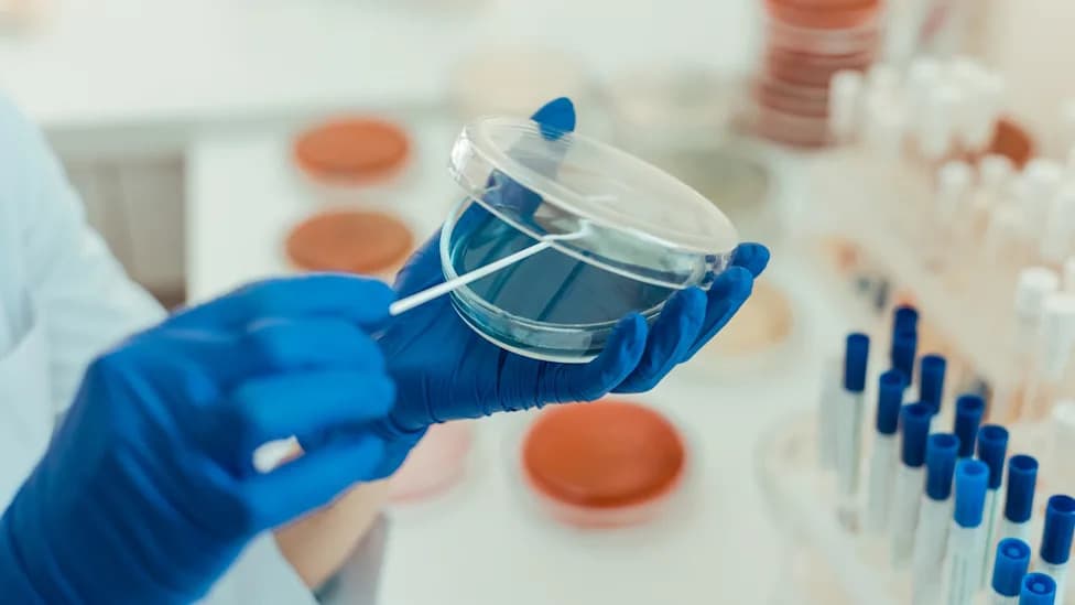 Ancient Smallpox Genomes from Chile Link Colonial Outbreaks to Old World Strains