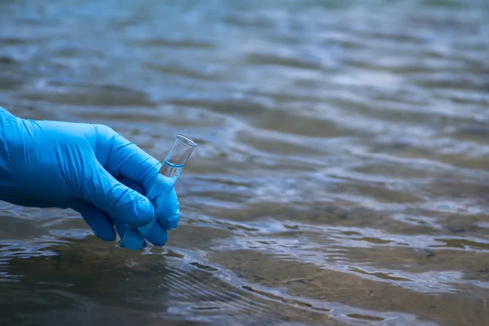 New Data: Only 14% Of England’s Waters In Good Ecological Condition; None Meet Chemical Standards