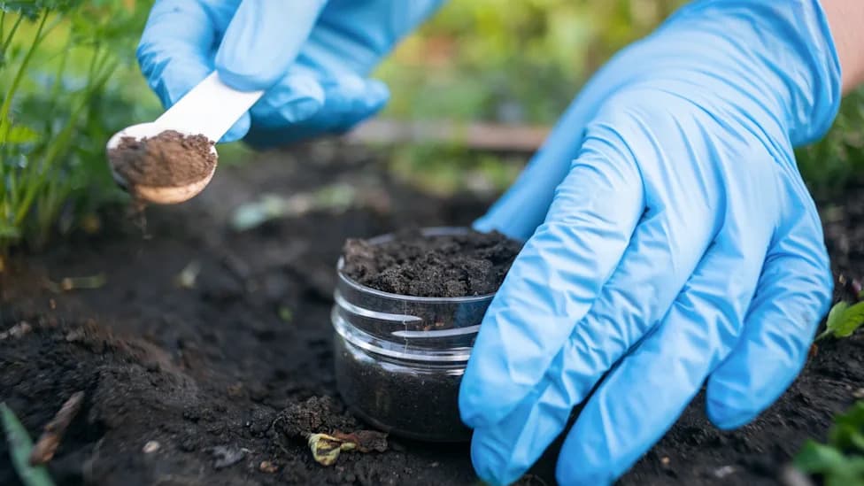 Investigation: High Lead Levels Found in Omaha Yards — Cleanup Efforts Uneven and Inconsistent
