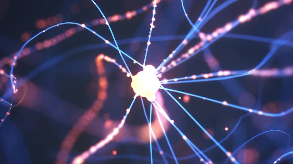 Calming Microglia Restores About Two Hours of Sleep in Alzheimer’s Mice, Study Finds
