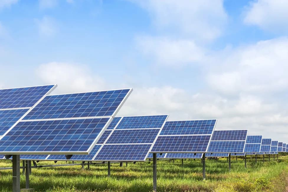 Delaware Family Turns 32 Acres Into Community Solar Farm That Could Cut Bills 10%–20%