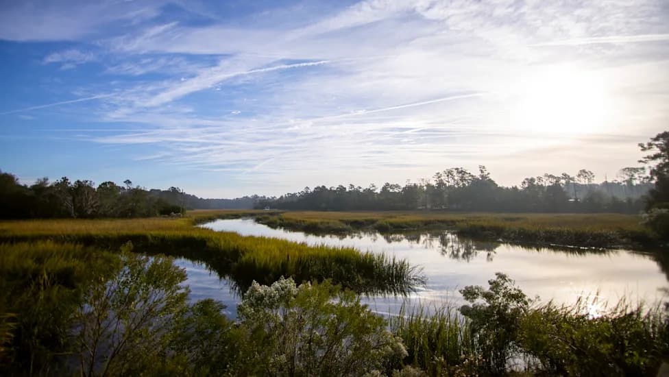 Give Georgia’s Marshes Room To Move: A New Plan Uses Living Shorelines And Land Conservation