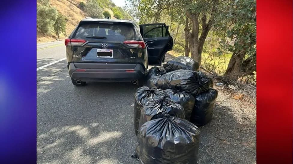CHP Stops SUV for Speeding — Finds Nearly 500 Pounds of Marijuana in Rear