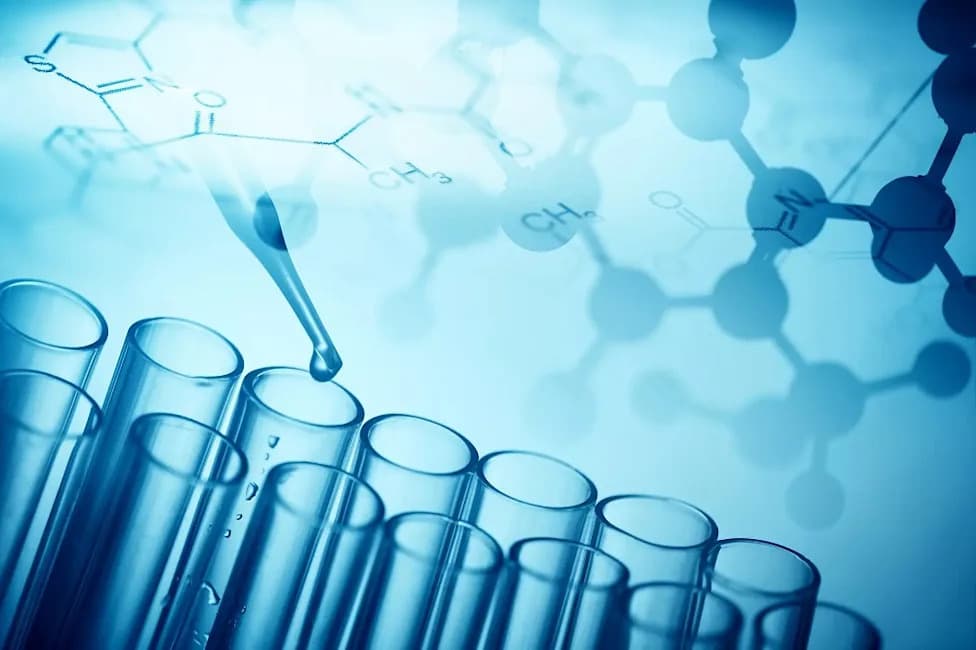 Bluesign Tightens 2026 Chemical Rules, Aligns PFAS Limits With New EU, French and Swedish Standards