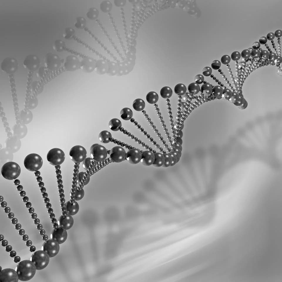 Two Deaths in China Reignite Global Debate Over Gene Therapy Oversight
