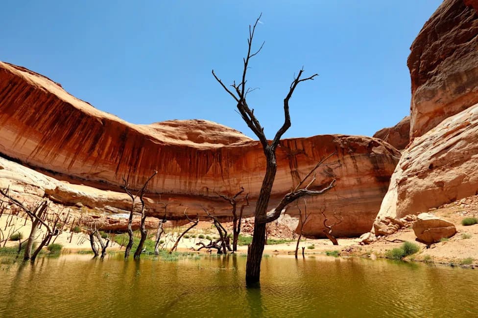 Lake Powell Nears Critical Threshold: What Falling Levels Mean for Hydropower and the Southwest