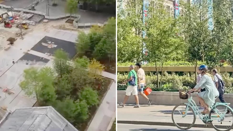 Paris Replaces City Hall Stone Plaza With a 50-Tree Microforest to Cool and Drain the City