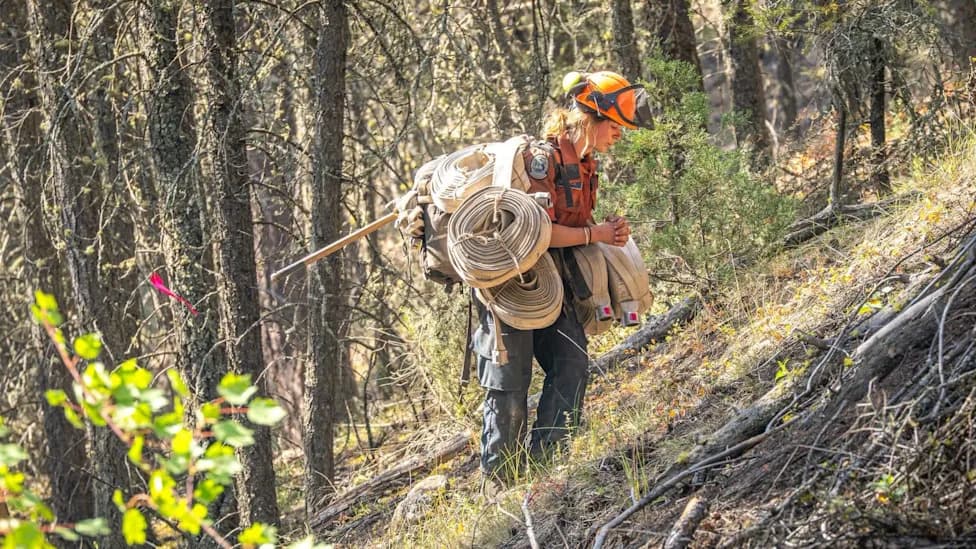 Fast-Moving Bald Range Wildfire Forces Over 20,000 To Evacuate Along Okanagan Lake, B.C.