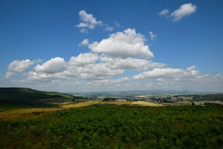 Wildlife Trusts Races To Raise £30m To Save Historic Rothbury Estate