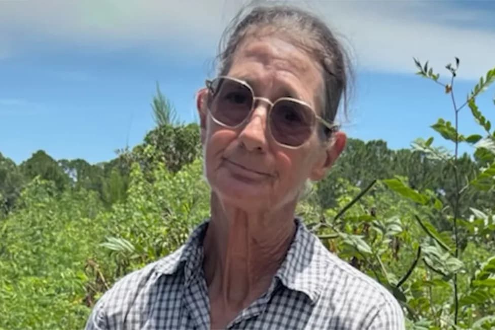 69-Year-Old Arrested After Allegedly Stabbing and Whipping Horse While Child Watched
