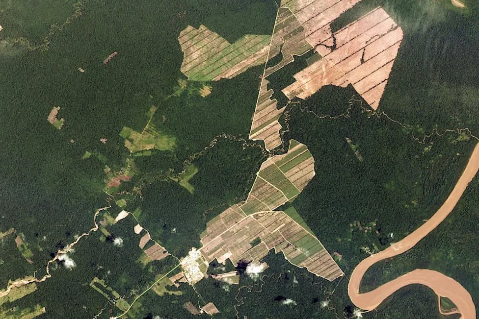 From Brazil to Bolivia: How Crackdowns Are Shifting Deforestation Across Borders