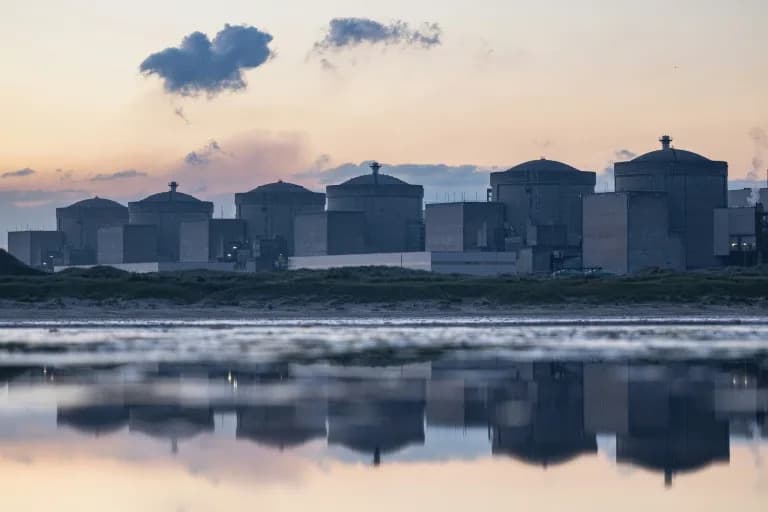 Jellyfish Swarm Forces Shutdown of Three Reactors at Gravelines, Halves Output of Fourth
