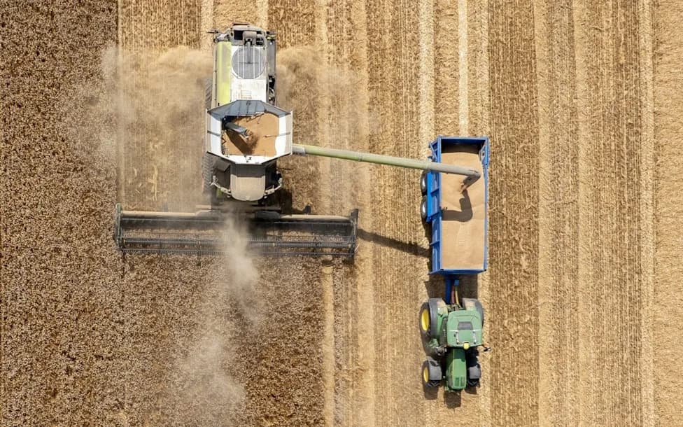 Britain Faces Its Worst Food Security Threat in Decades as Drought Hits 71% of England