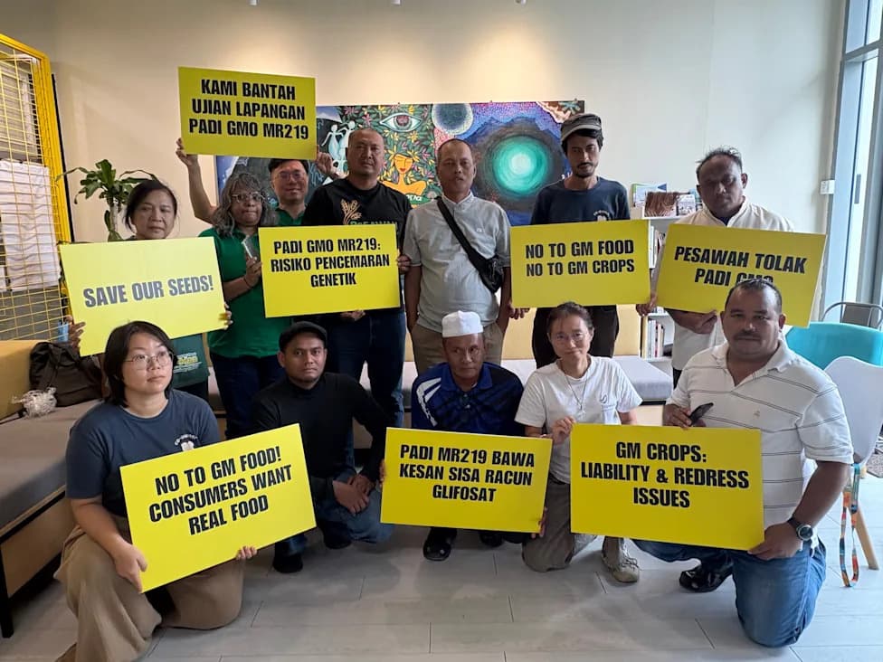 Malaysian Coalition Urges Rejection of GMO MR219 Rice Trial Over Safety and Contamination Fears