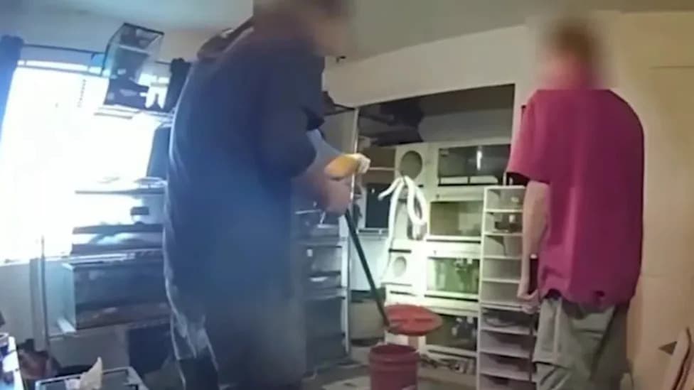 60 Snakes Seized in New Mexico Raid — 52 Venomous, Including an Inland Taipan