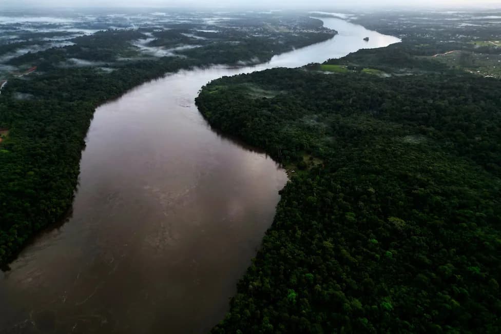 Brazil’s Supreme Court To Decide High-Stakes Cases That Could Reshape Amazon Protections