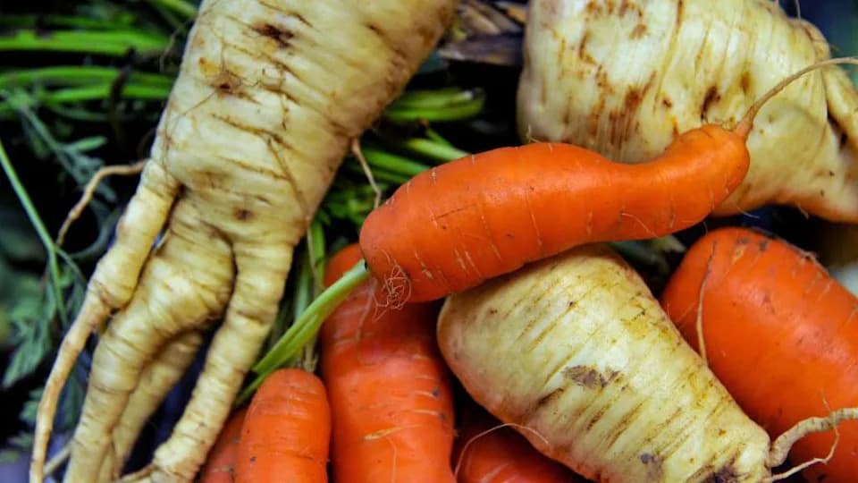 Sun‑Tanned Cauliflowers and Knobbly Potatoes: Why Heat‑Stressed Veg Is Still Fine to Eat