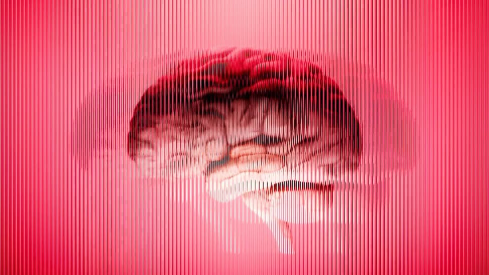 New Z‑Shaped Amyloid Fold Explains Rare Flemish Form of Alzheimer’s