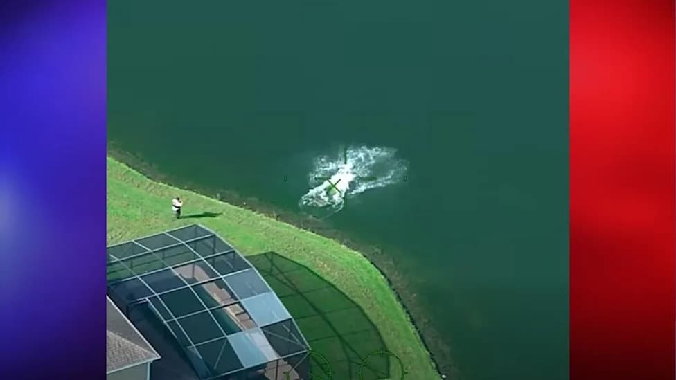 Wanted Florida Man Swims Across Pond to Evade Deputies — Finds Them Waiting