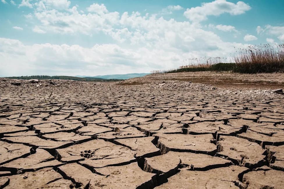Study: Droughts Are Reshaping How Infectious Diseases Spread