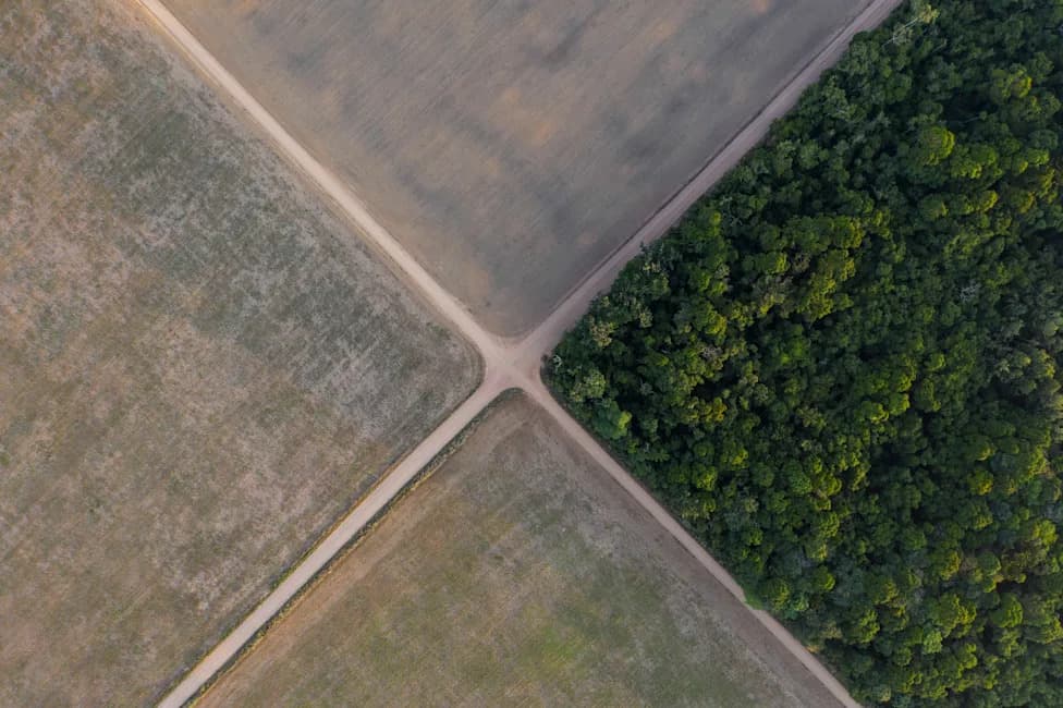 Brazil Supreme Court Ruling Weakens Amazon Soy Moratorium Despite Upholding Its Constitutionality