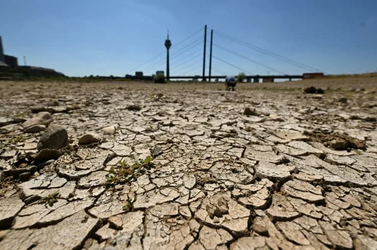 Germany's Dry Rivers: Dredge, Engineer or Restore? A High-Stakes Policy Clash