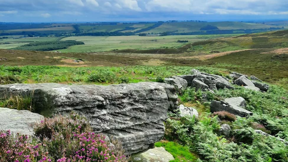 Crunch Time as Rothbury Bid Reaches £20.7m — £9.3m Needed to Secure 3,800‑Hectare Estate