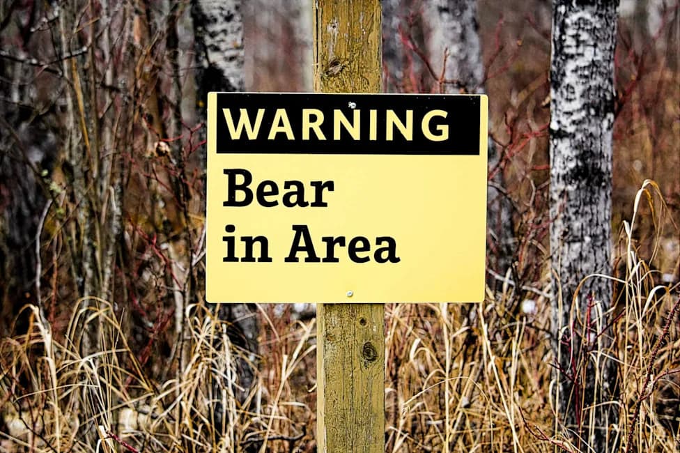 72-Year-Old Hiker Airlifted After Defensive Grizzly Attack in South Chilcotin