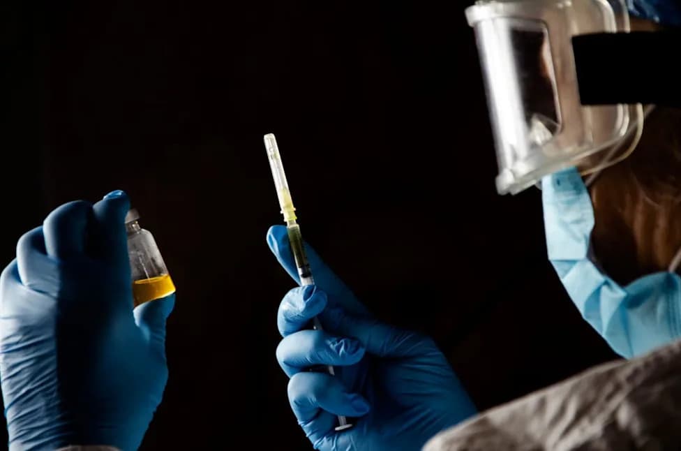 USDA to Airdrop Millions of Oral Rabies Vaccine Baits Across the Eastern U.S.