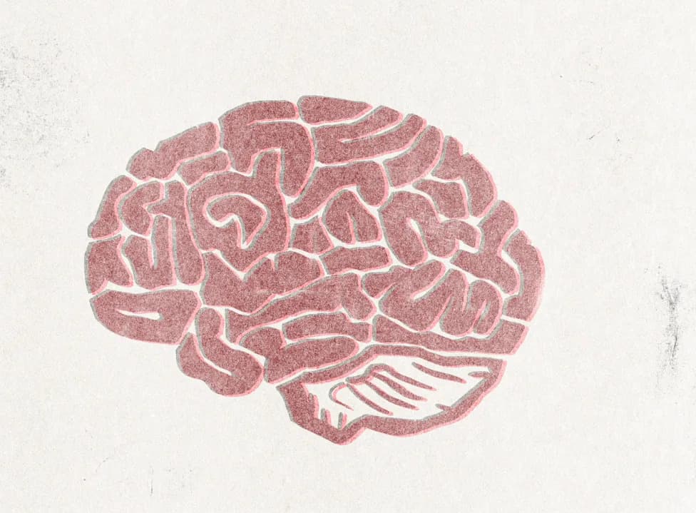 Estrogen-Only Therapy at Menopause Tied to 35% Lower Odds of Alzheimer’s Brain Changes, Autopsy Study Finds