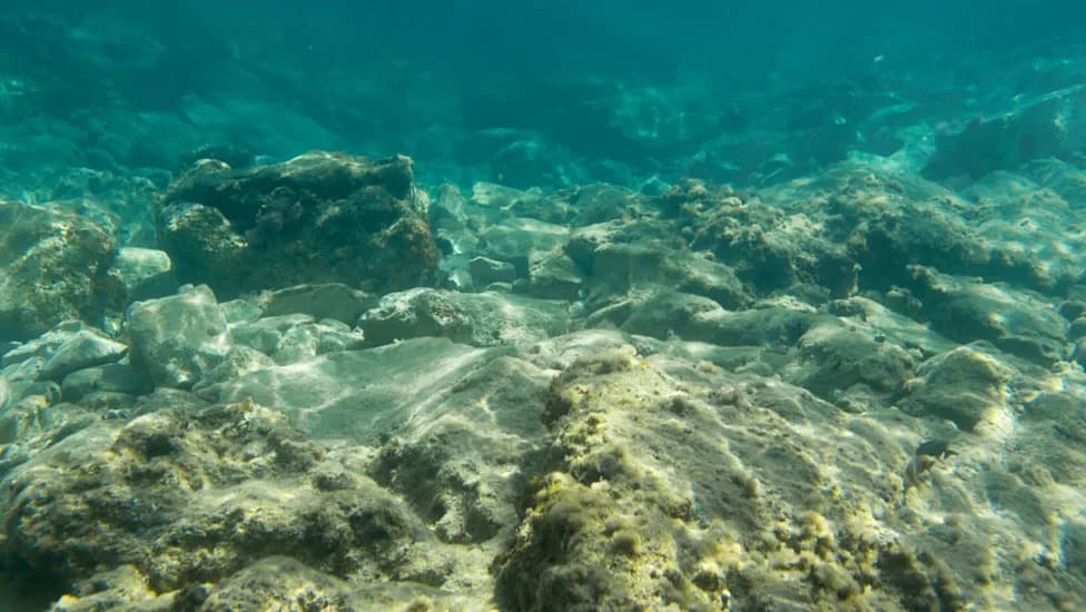 Corroding Radioactive Waste Barrels Found Leaking Nearly 3 Miles Deep in the Northeast Atlantic