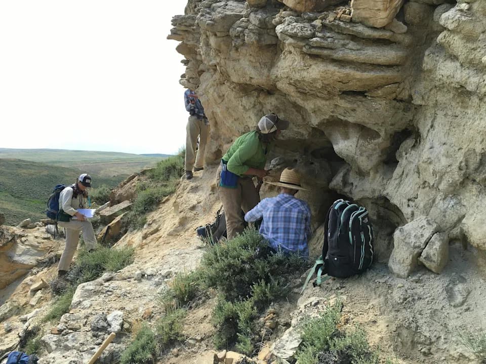Wyoming Fossils Reveal Ancient Forests Lost 60% Canopy and Needed 100,000+ Years to Recover