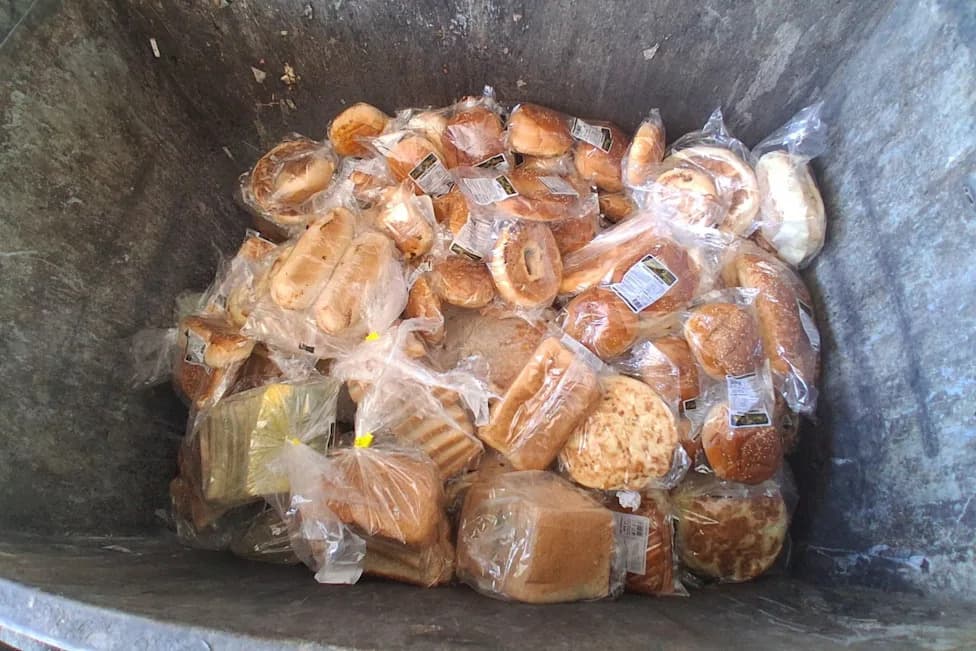 Ankara Supermarket Dumpster Packed With Individually Wrapped Bread Sparks Outrage Over Food Waste