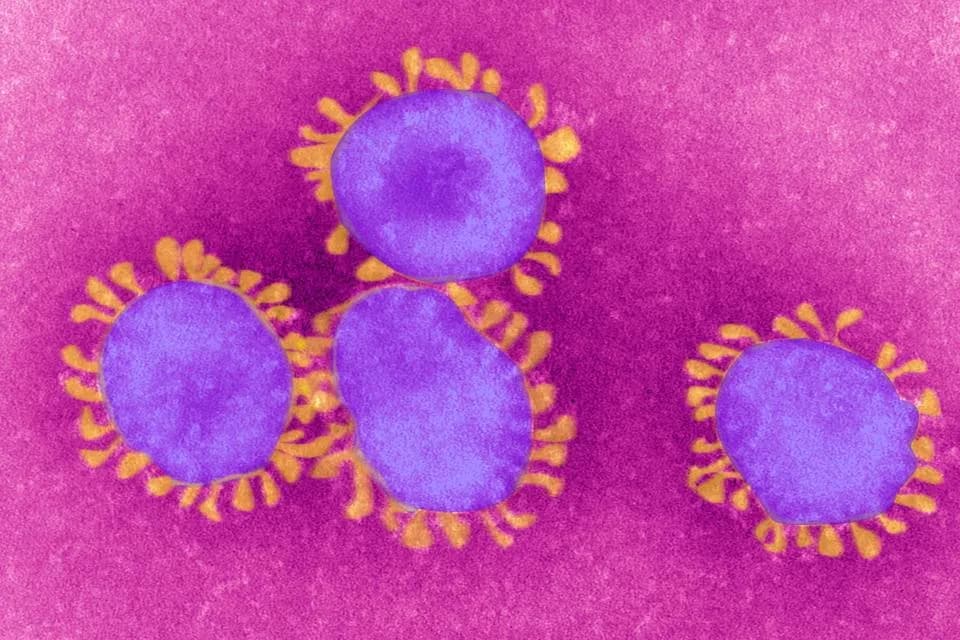 AI Can Now Design 'Deepfake' Viruses — Biodefense Isn't Ready