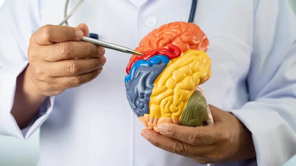FDA Clears PhenoNet To Launch Phase III Trial Of Inhaled PHENOGENE-1A In Early Alzheimer’s